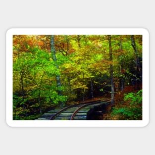 Train Tracks into the Woods Sticker